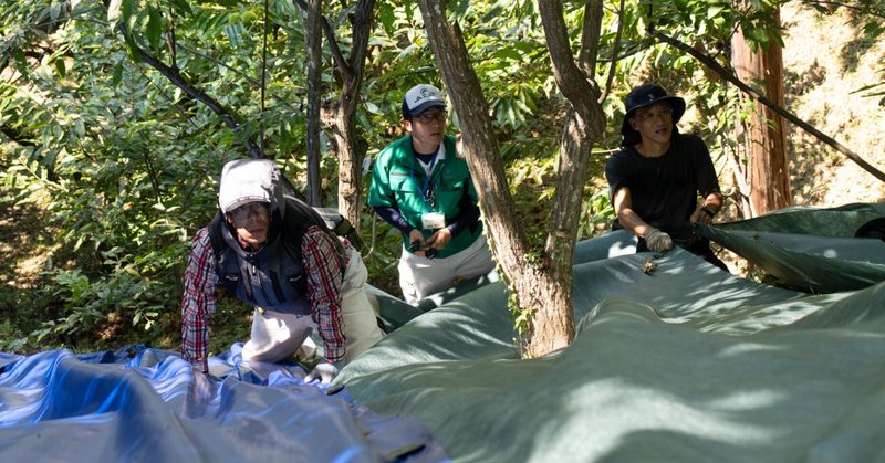 遠州和栗プロジェクト