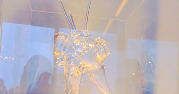 中年女性、大阪万博2025チェコパビリオンに行く｜中年野良