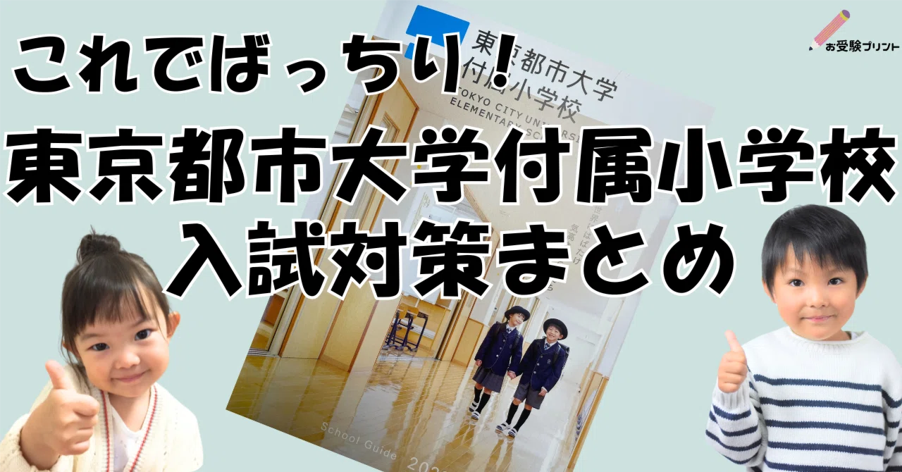 伸芽会 家庭学習プログラム お受験 プリント 私立 国立 小学校 【公式