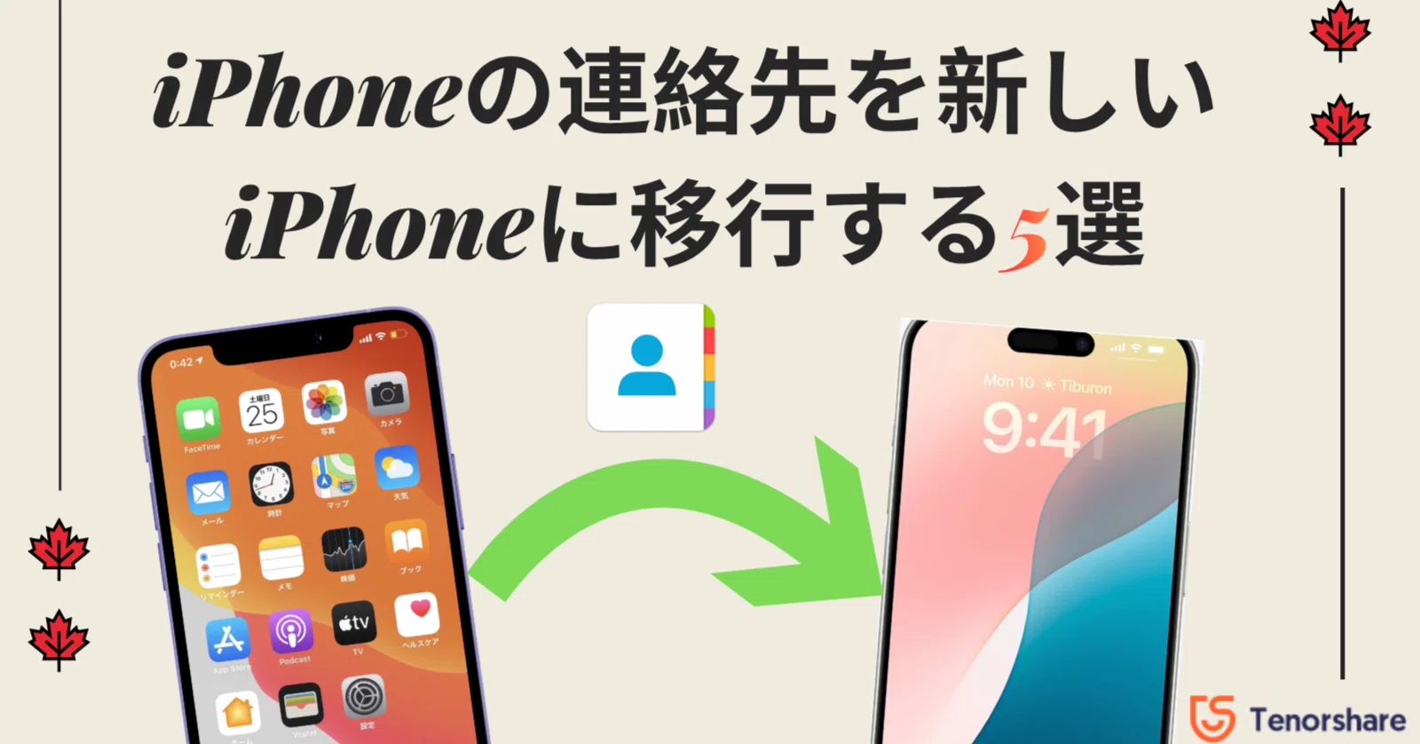 活動歴および当時の関連ビジュアル記録
