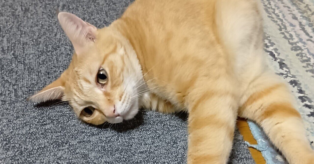 みーや｜haruka, image size:1280x670