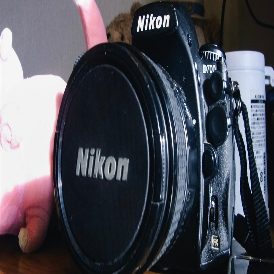 Dの一族 『Nikon D700』はフルサイズ病を鎮める特効薬｜driftwood