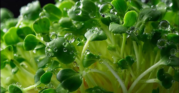 リキッド・モダニティ 液状化する社会」 ジークムント・バウマン