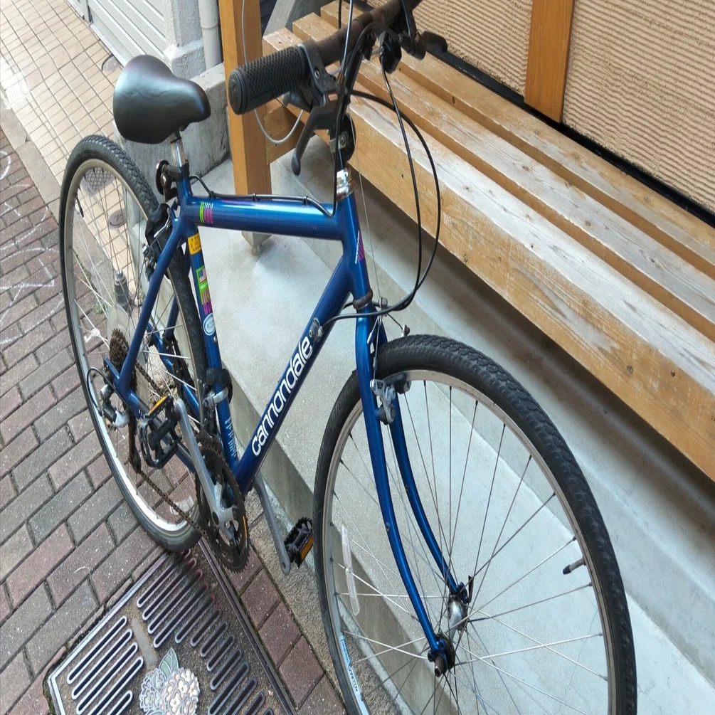 スポーツ自転車 トップ10メーカーと講評 | 5 | Cannondale 