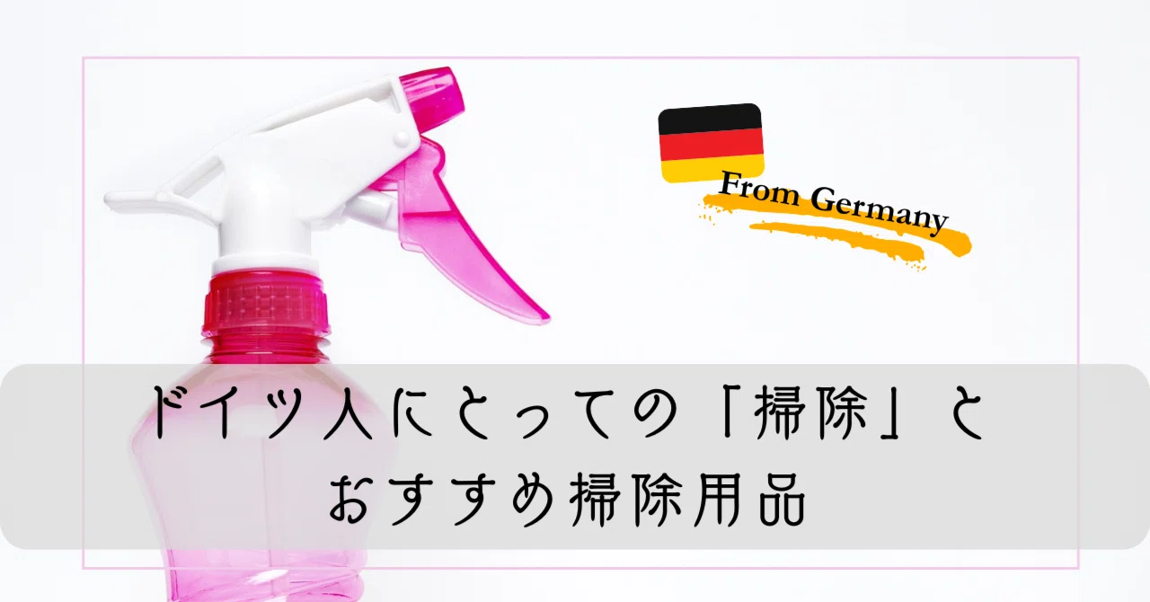 掃除に執念を燃やす（人が多い）ドイツ ｜ドイツ人にとっての「掃除 