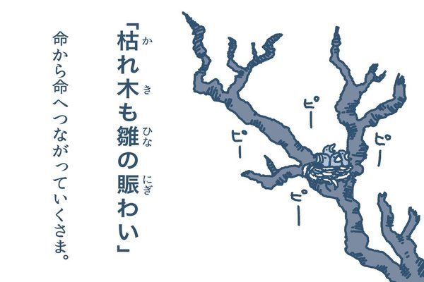 枯れ木も山の賑わい の新着タグ記事一覧 Note つくる つながる とどける