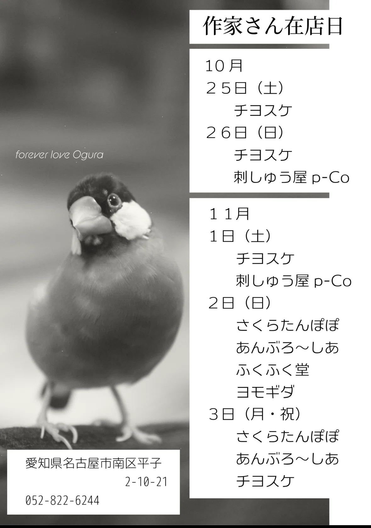 文鳥 水野書店 本と文鳥で手に幸せ2025参加のお知らせ｜あんぶろーしあ