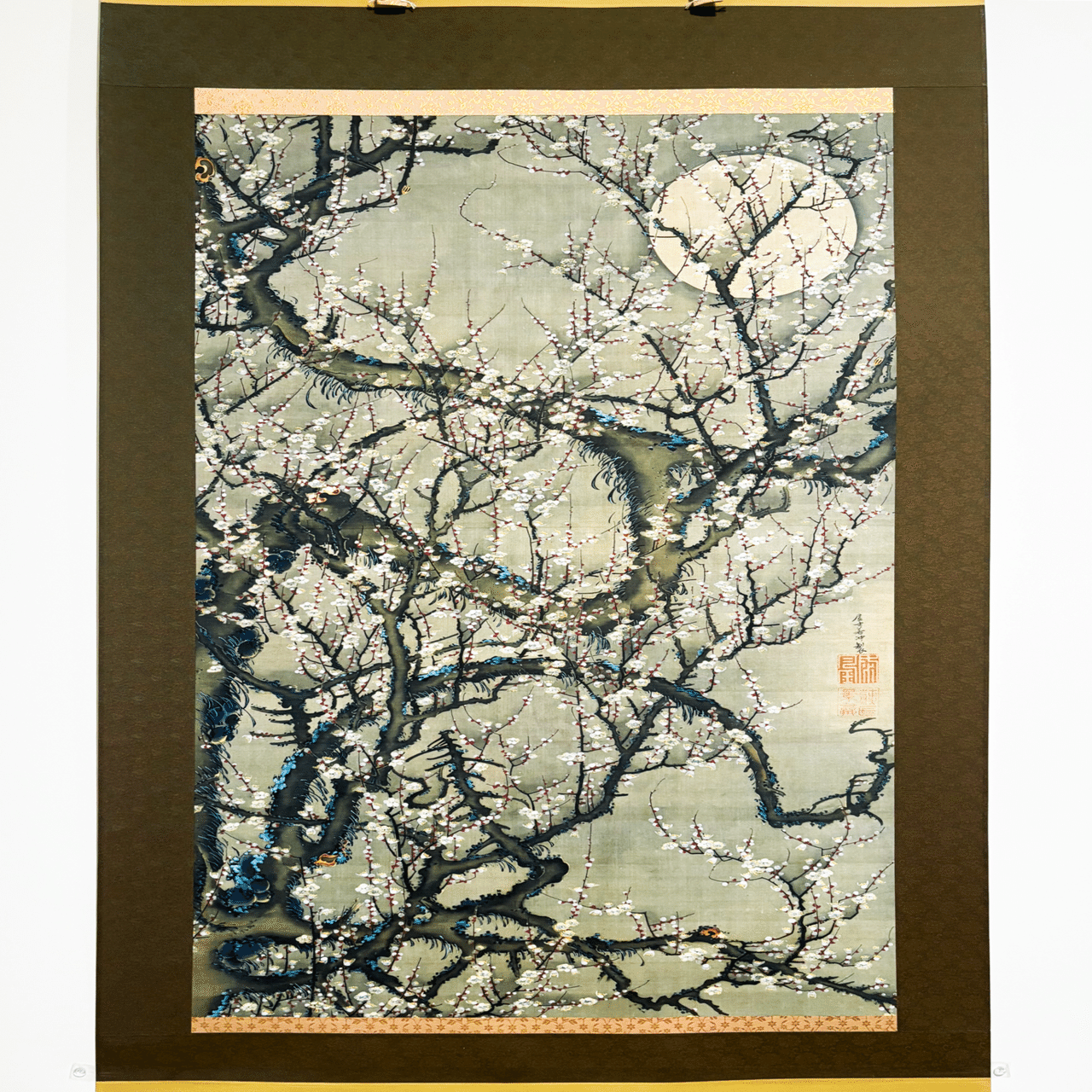 若冲の描く美しい夜の世界へ。私が 