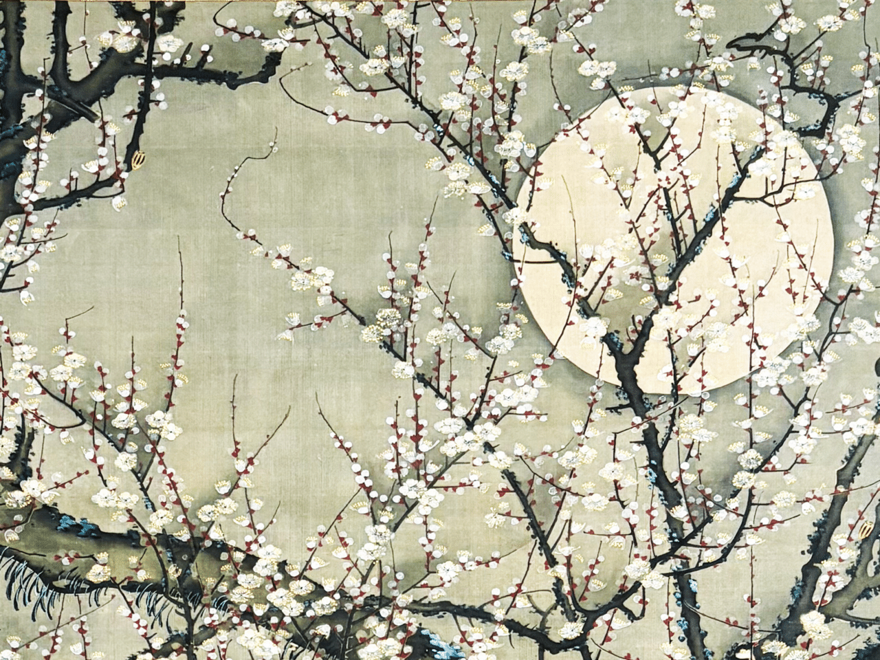 若冲の描く美しい夜の世界へ。私が 