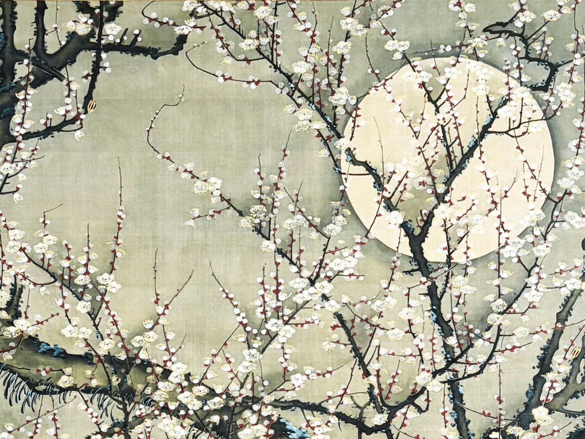 若冲の描く美しい夜の世界へ。私が 