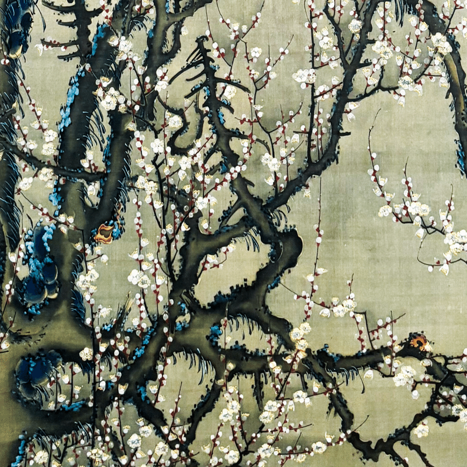 若冲の描く美しい夜の世界へ。私が 