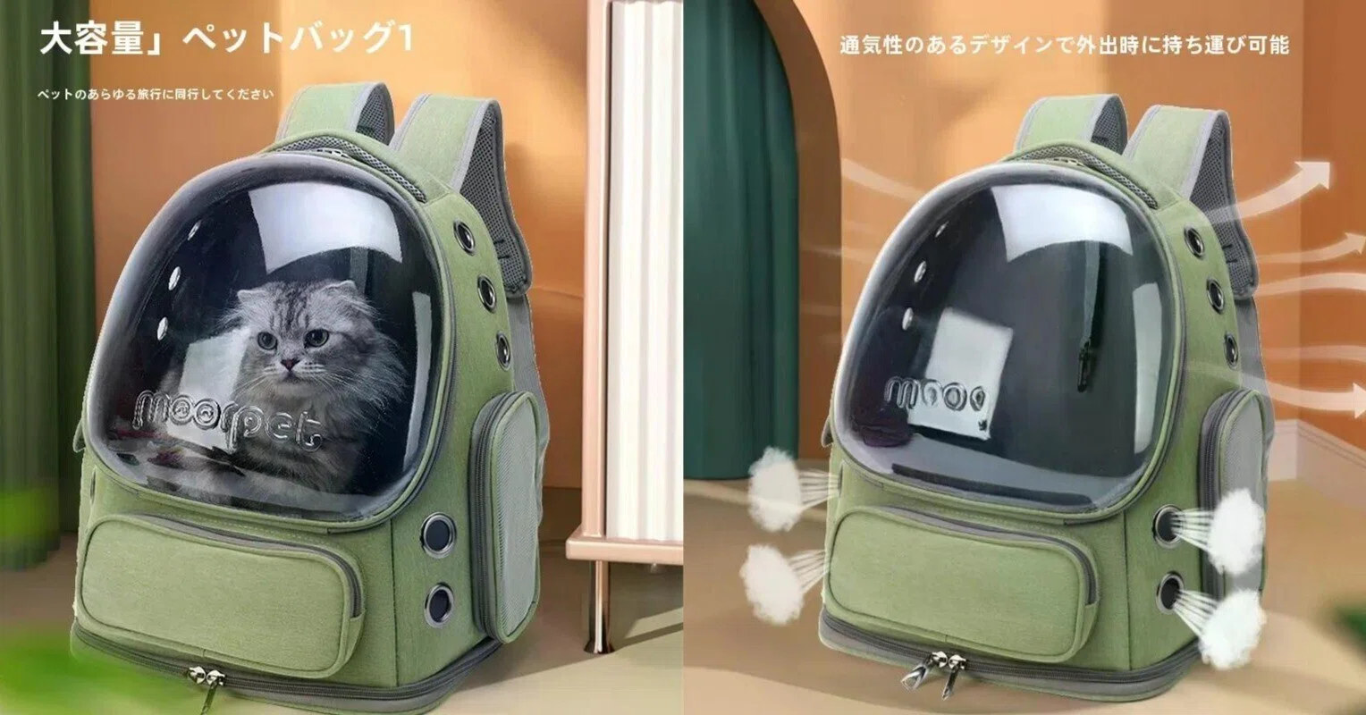 秋のお散歩にぴったり！通気性抜群の猫用リュックで快適お出かけ｜由美子