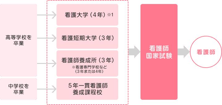 看護師って何 教看 Note