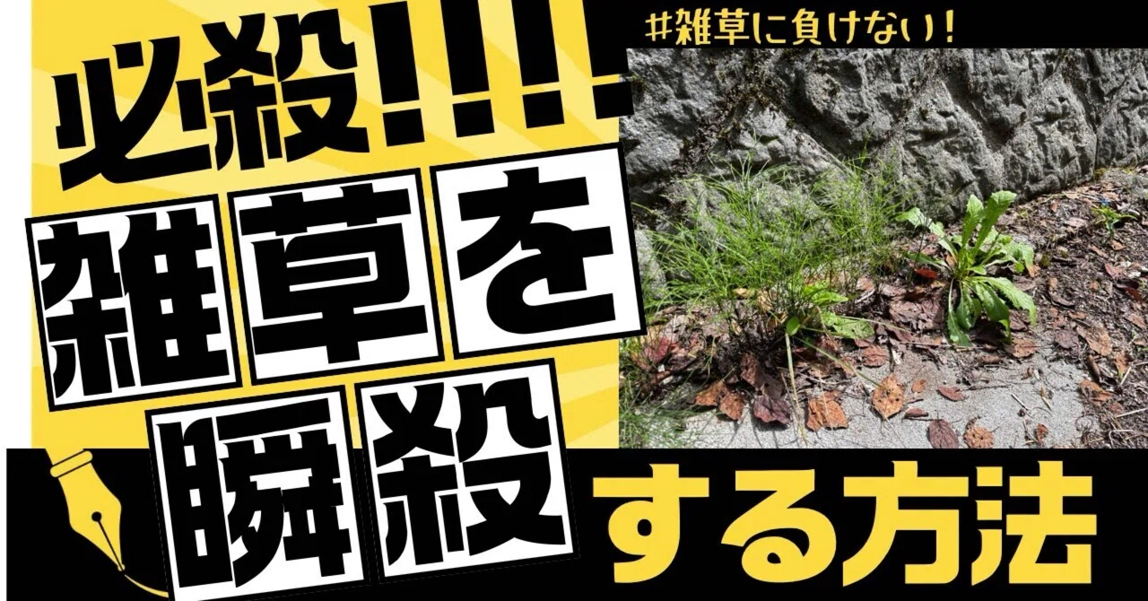 コンクリートの隙間から生えた雑草に勝つ方法！｜あや|山の中で植物と