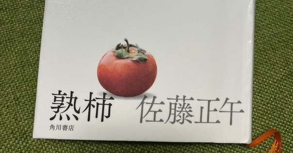 灰色のダイエットコカコーラ（佐藤友哉著）』を読む 〜「覇王