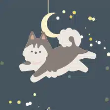外部院試の全てがわかるよ