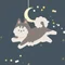 外部院試の全てがわかるよ