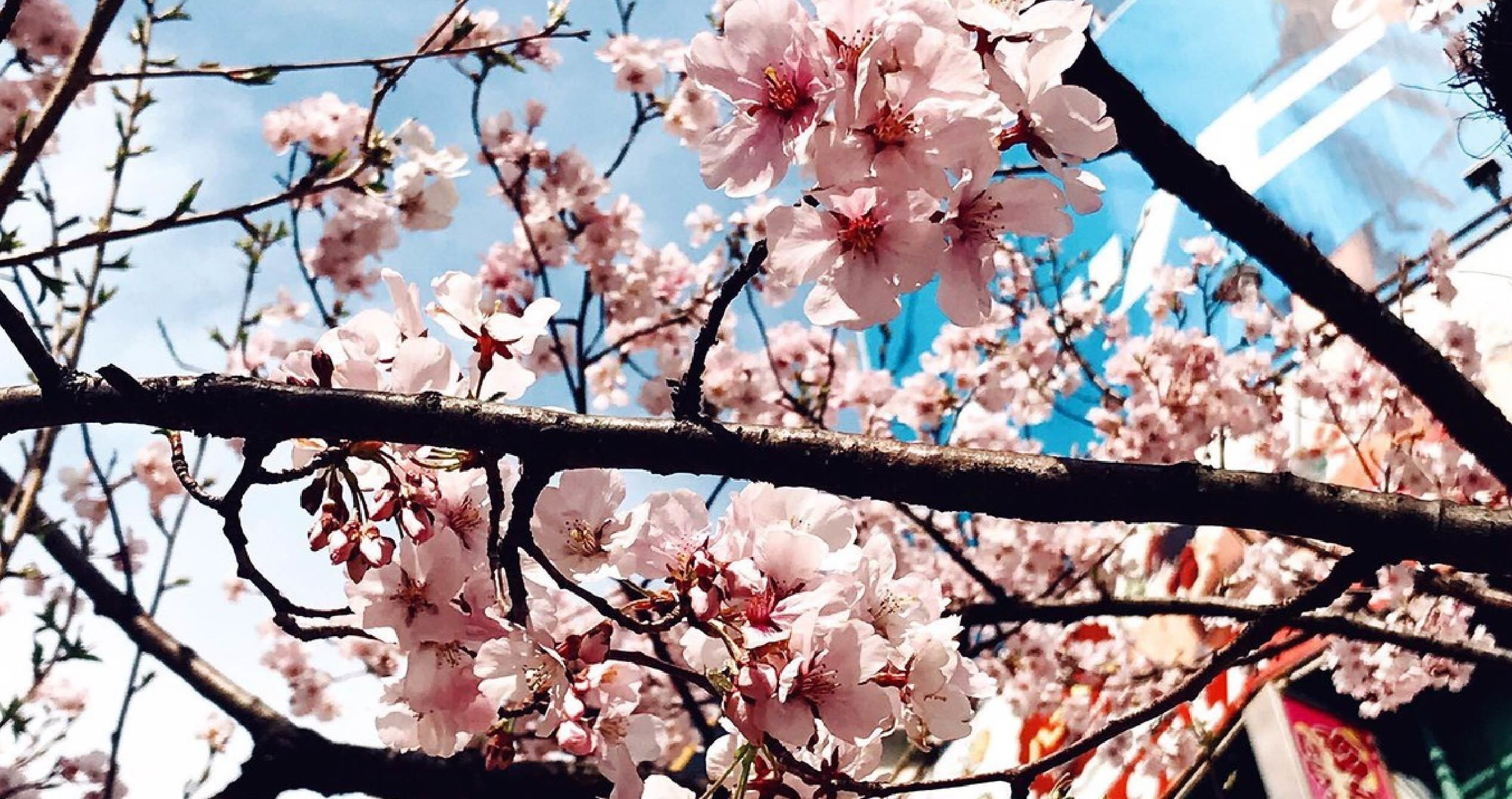 大学での友達の作り方 私の失敗例を踏まえて なすび太郎 Note