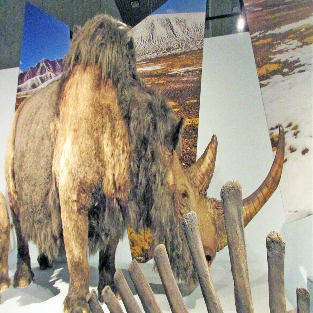 第1章 氷河期 極寒の時代―森林とツンドラのはざまで生きた動物、および