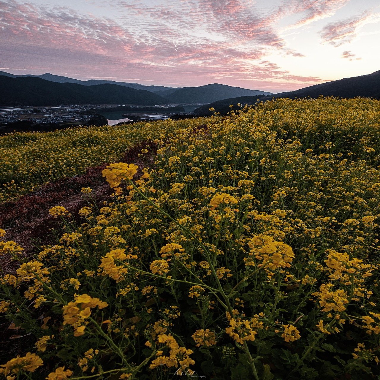 Vol 23 広角レンズの特性 パースペクティブ を生かした撮影方法 Kita Note