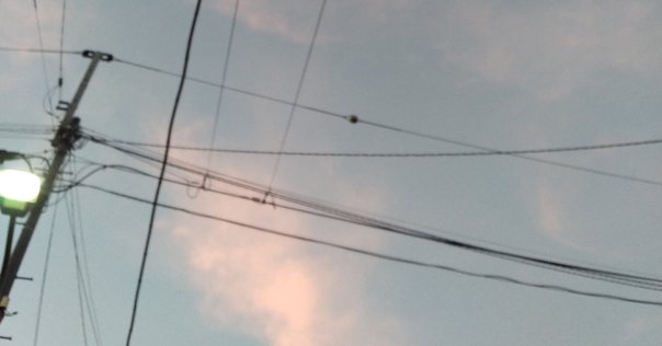 真珠母雲（Mother-of-pearl clouds） 綺麗だけど、ヤバいかも｜yasu