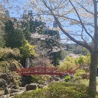 三日月ツインテール𓃹