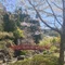 三日月ツインテール𓃹