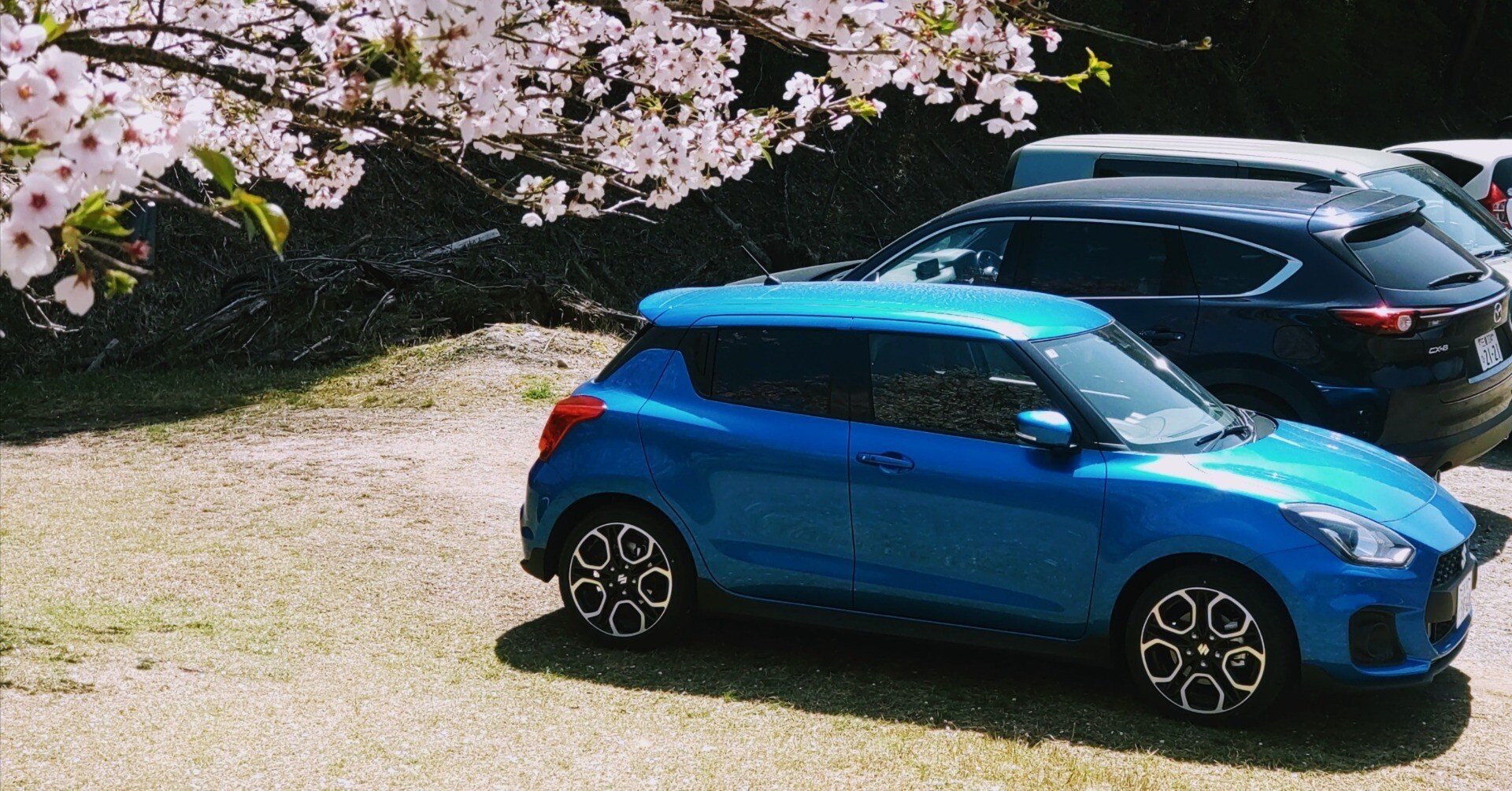 自転車ライターの6ホイールライフ スズキ・スイフトスポーツ（ZC33S