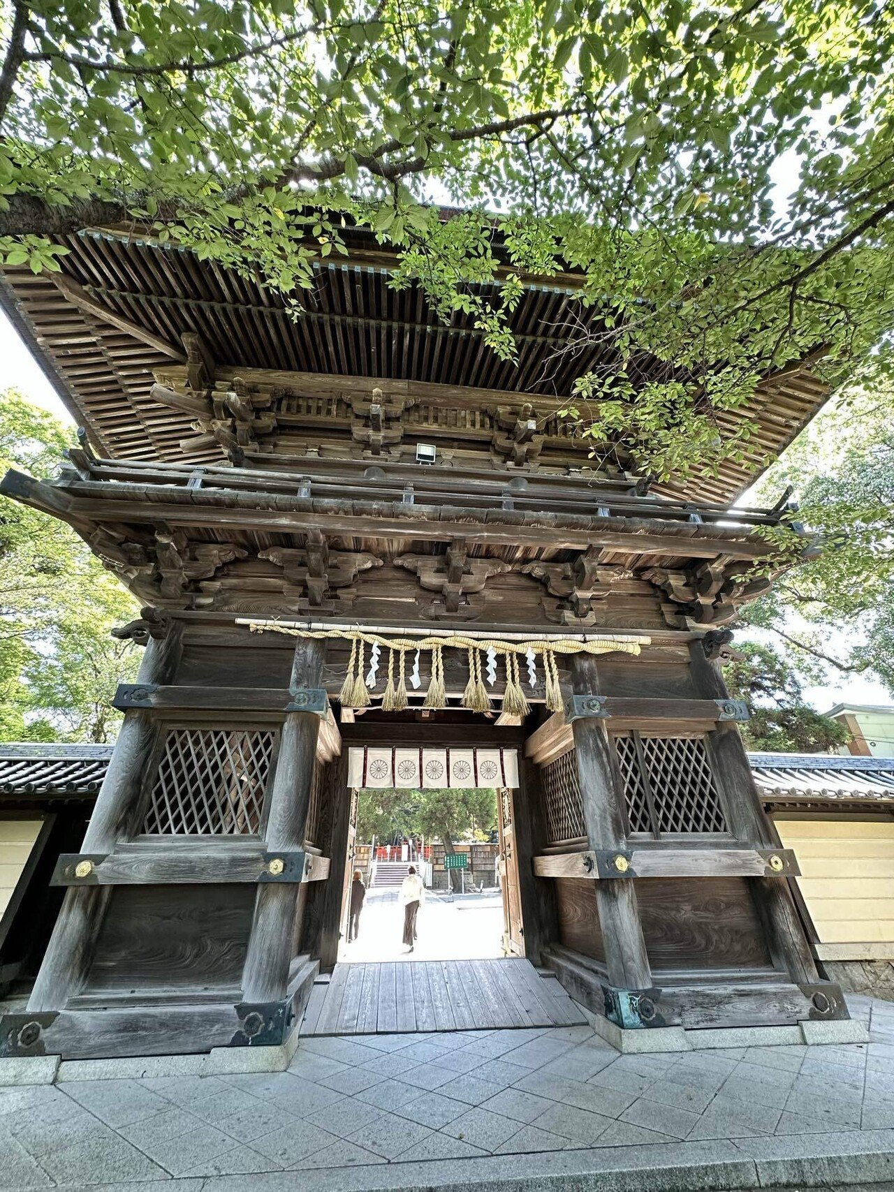 VOL.19】2025年は勅祭の年｜福岡・香椎宮｜tabo