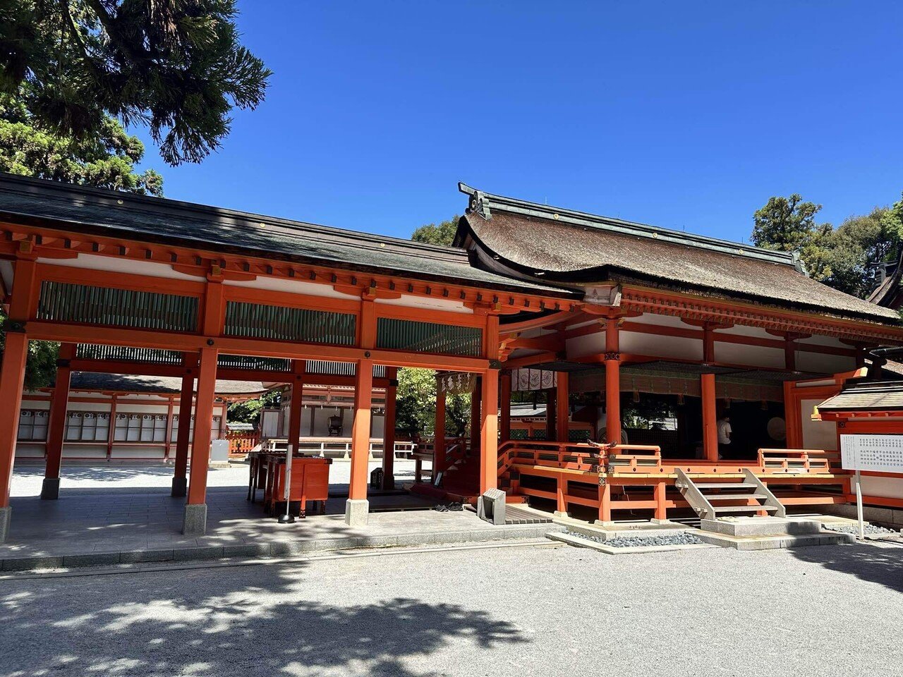 VOL.19】2025年は勅祭の年｜福岡・香椎宮｜tabo