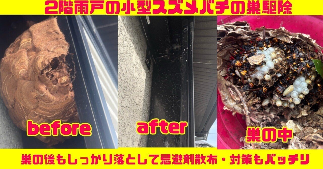 🐝◤10月中旬⚡️巨大化する蜂の巣に注意！宮城・山形・岩手・福島で