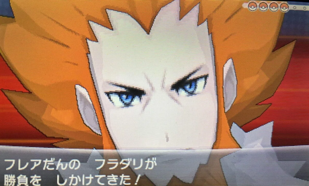 フラダリ 手持ち