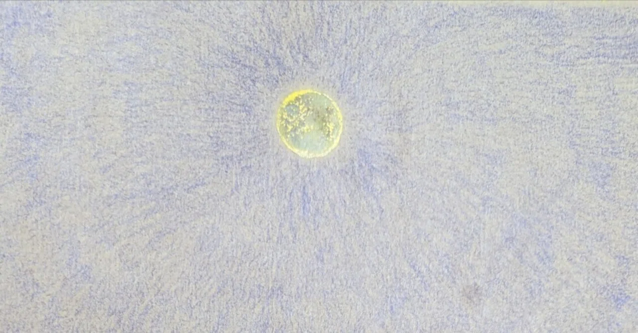 Ambitions Shining in the Embrace of Night and Moon｜季利｜絵童話作家｜一滴の物語で傷を華に ...
