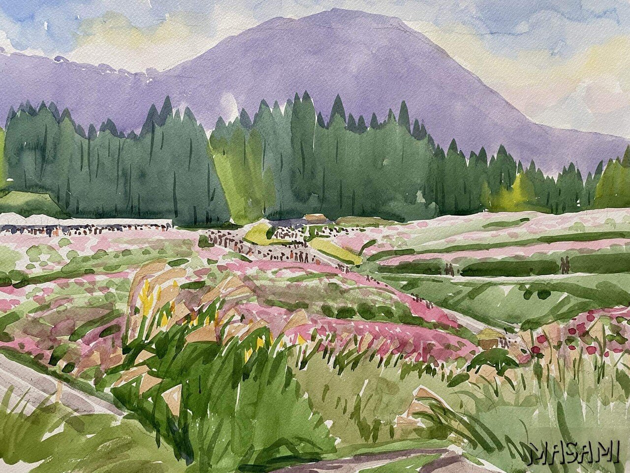 22 神園正美の透明水彩画 生駒高原｜コスモス｜神園正美の透明水彩画@note