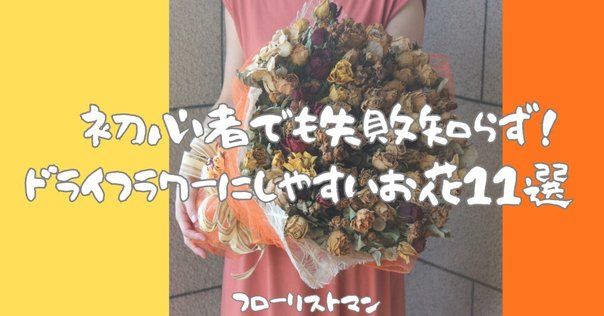 半日で作れる！】フードドライヤーでドライフラワーを作ってみた