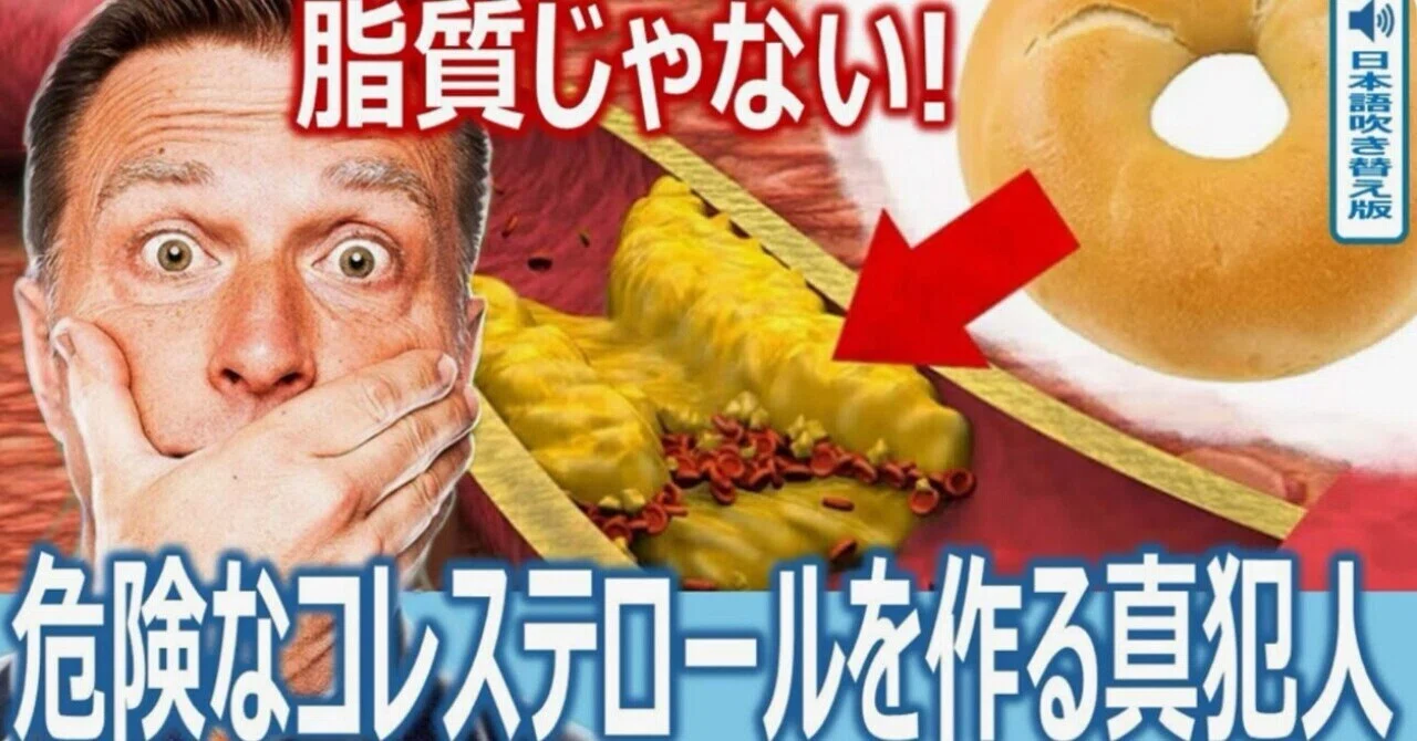 最新｜脂質じゃない！　危険なコレステロールを作る真犯人｜ドクター・バーグ