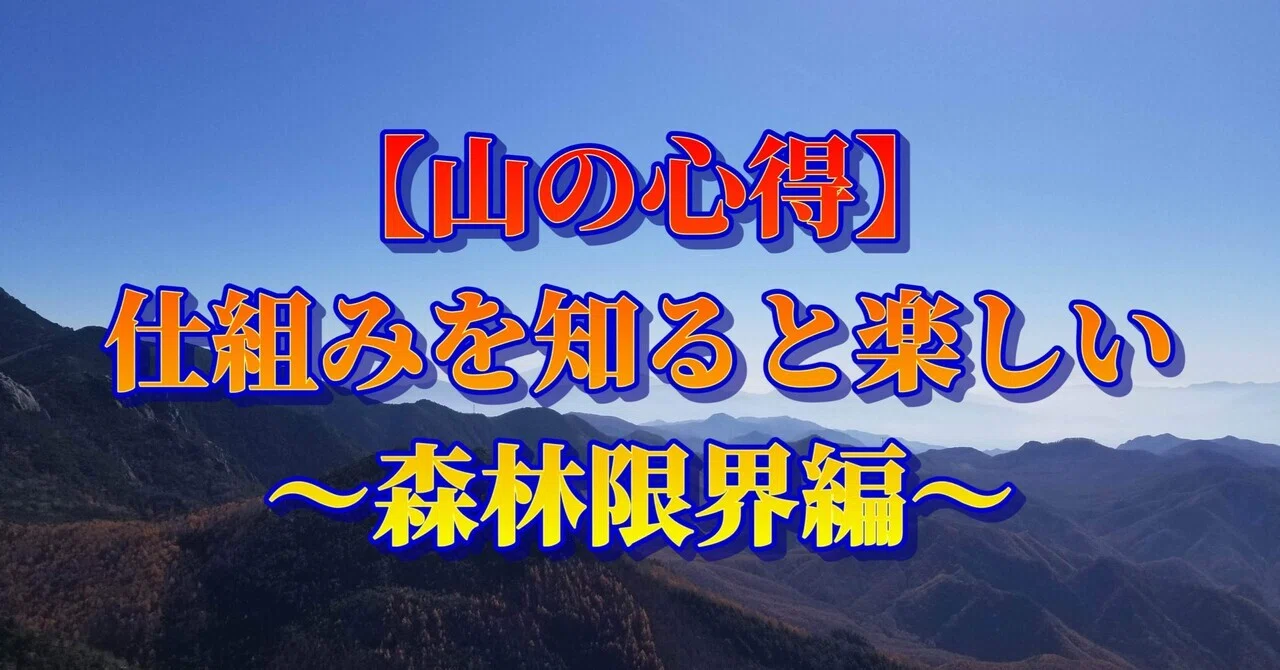 見出し画像