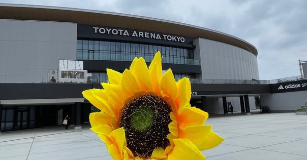 FM OSAKA 55th anniversary ”1995 SIAM SOPHIA – G” at大阪城