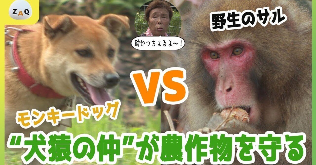 7996e0342ba566adcdada2a84804e4