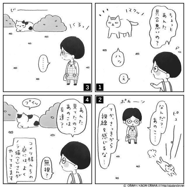 #ねこ #ネコ #猫 #イラスト #絵日記 #4コマ #ペット #ねこあるある #イラストエッセイ LINEスタンプ / http://line.me/S/sticker/1006209 猫様で検索 ;)