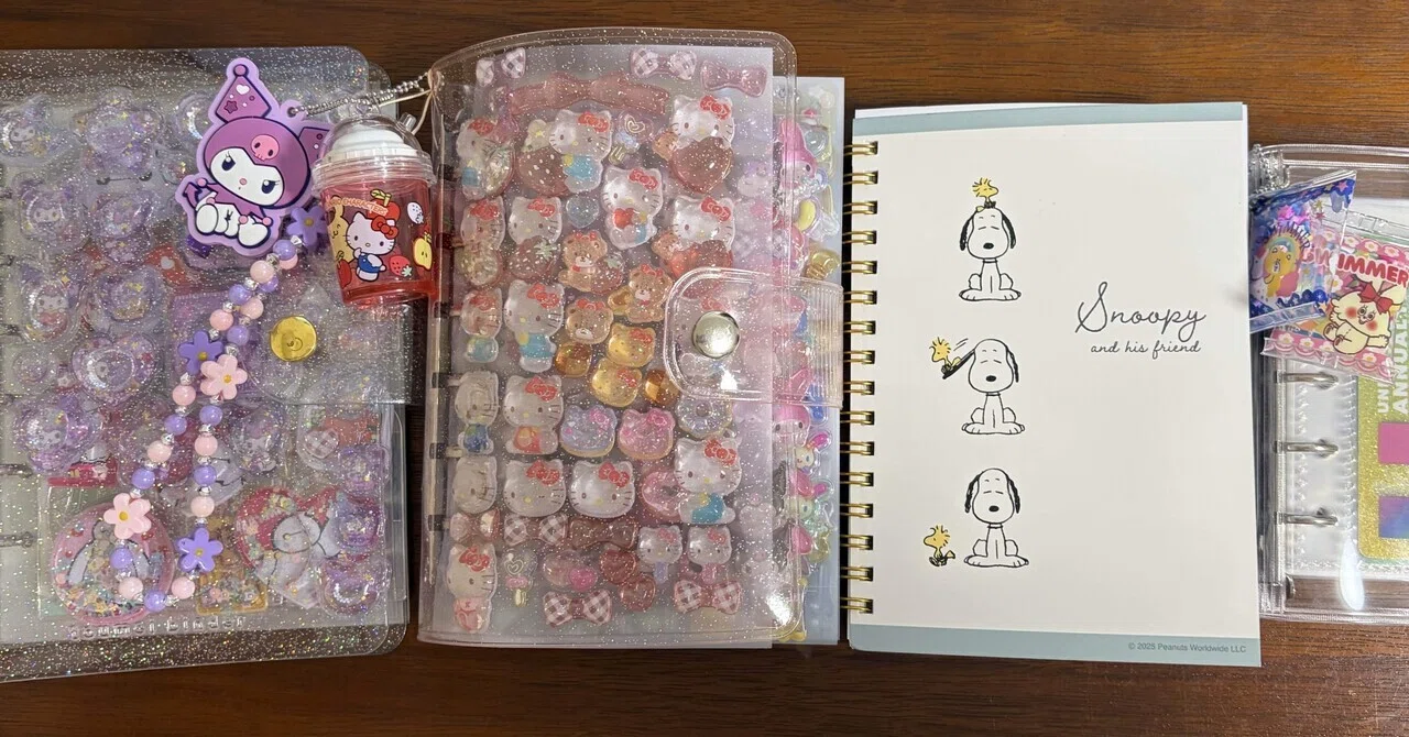 活動歴および当時の関連ビジュアル記録
