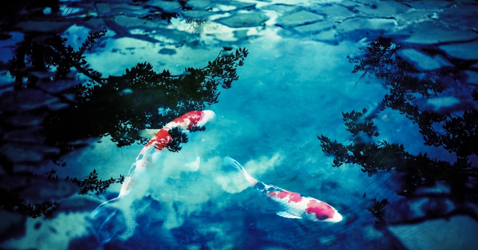 先生のドライブはいつもやばい ヒコタと地獄の端午 編 柴村仁 Note