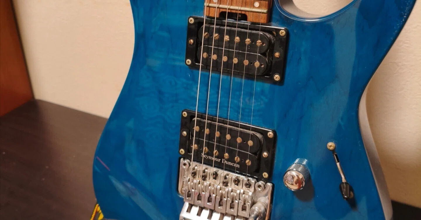 楽器紹介 第1弾 ESP M2 DX｜おつまみ ギター