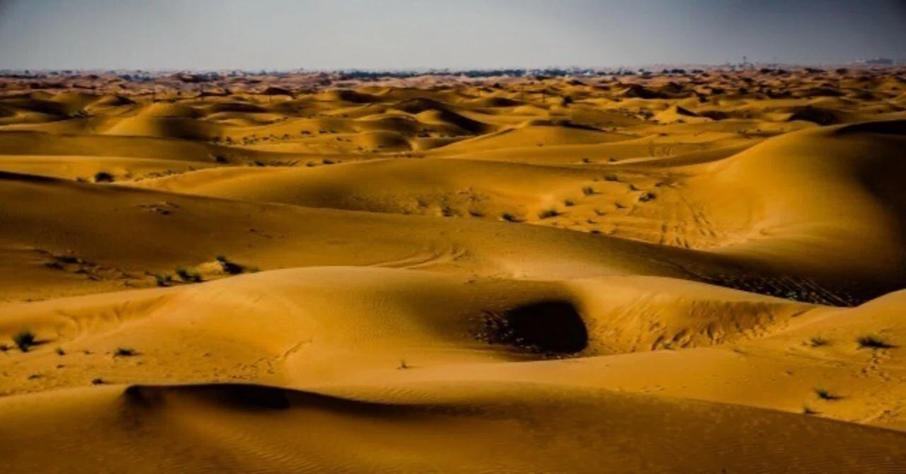 Dunas de un Cuerpo / Fueguia 1833｜Q