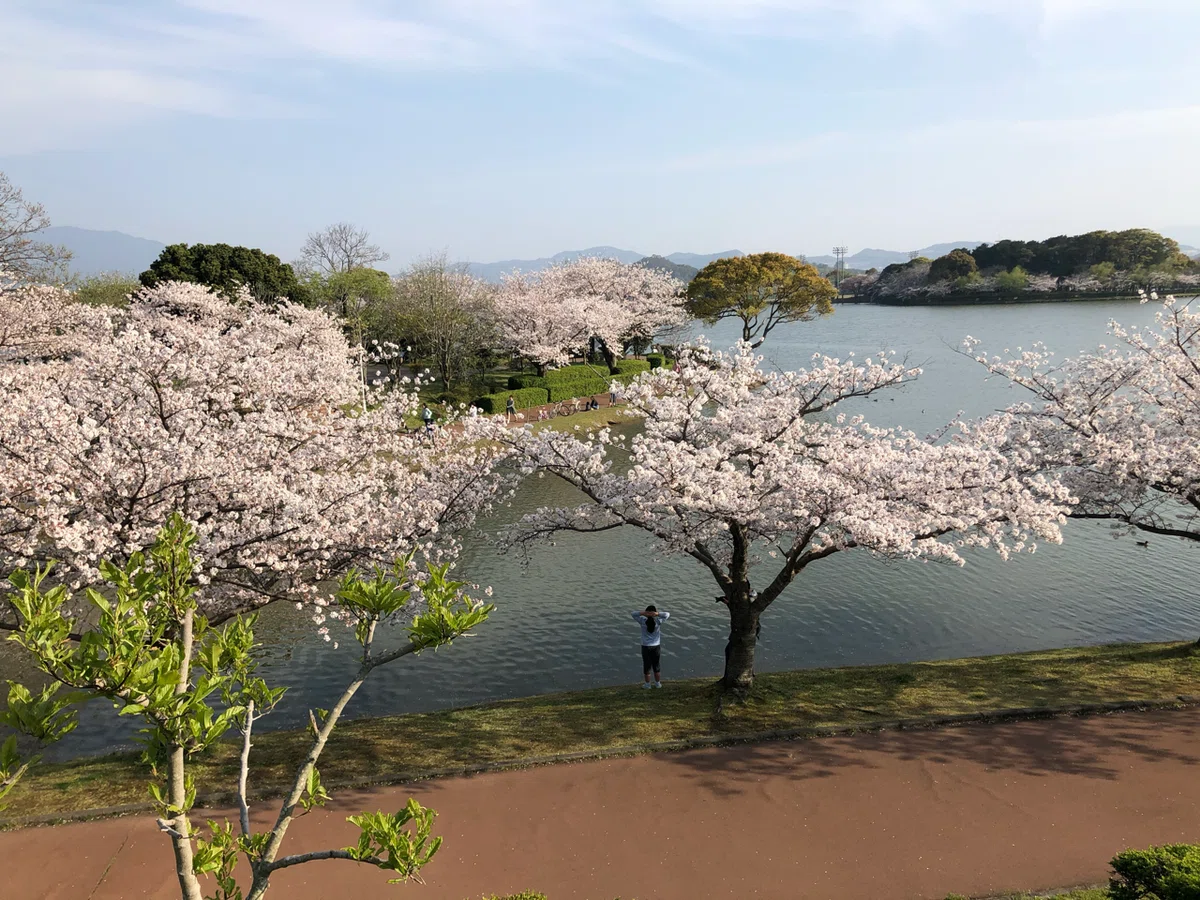 画像2