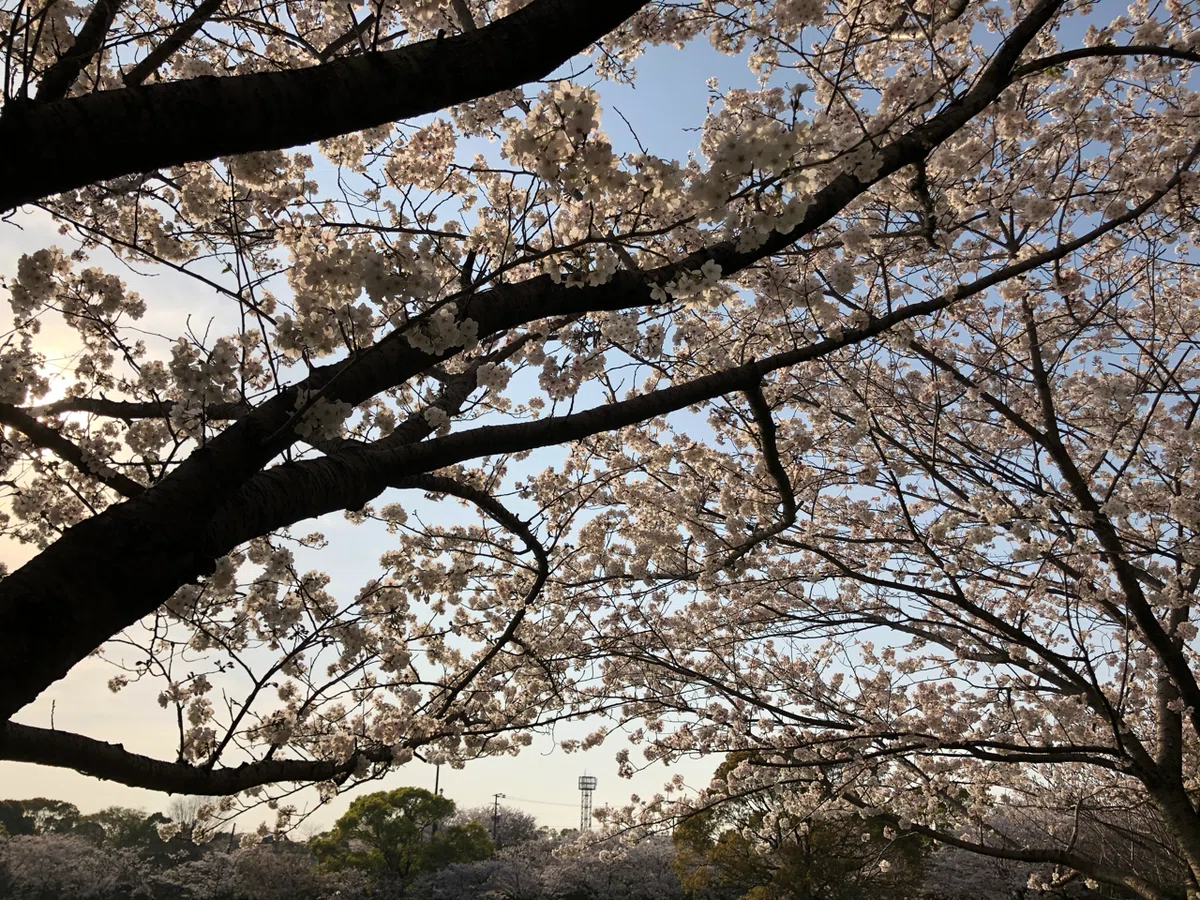 画像9