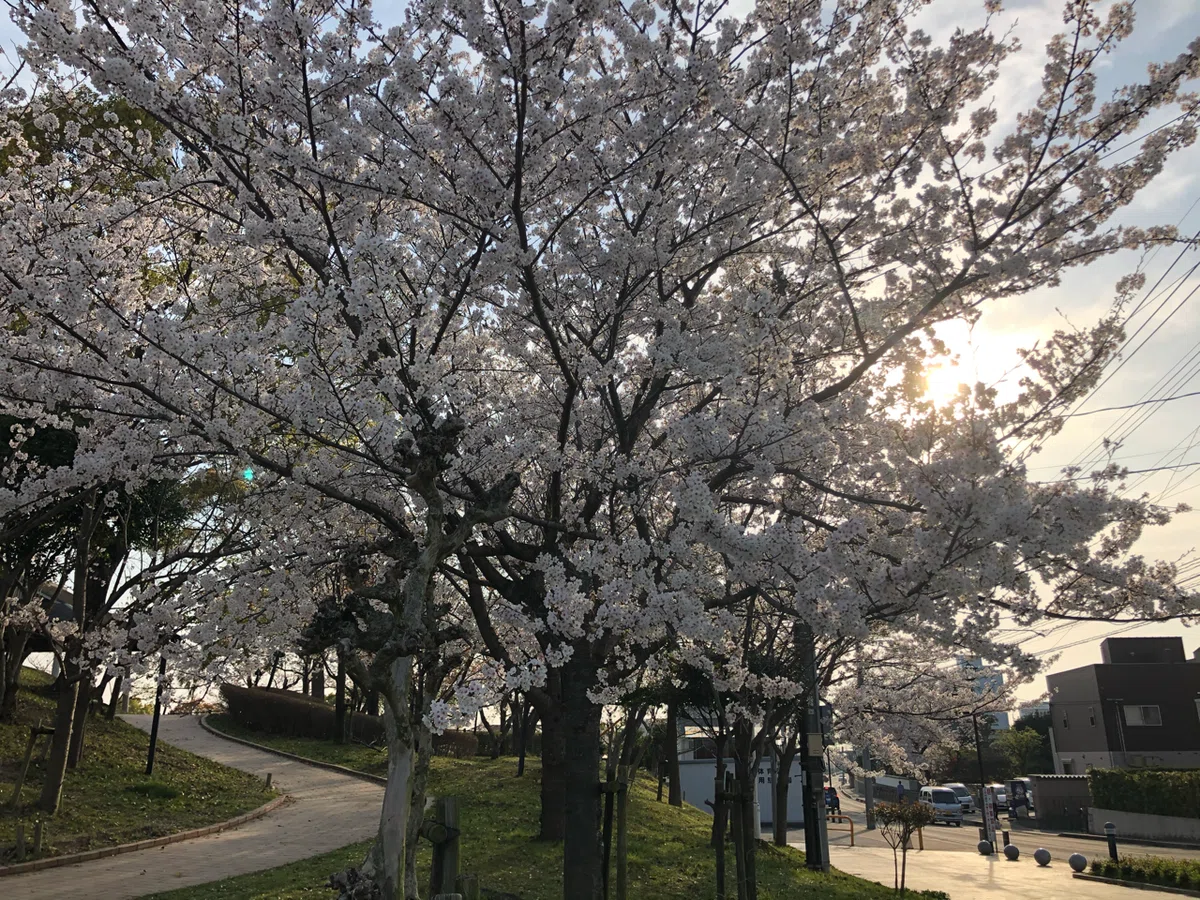 画像10