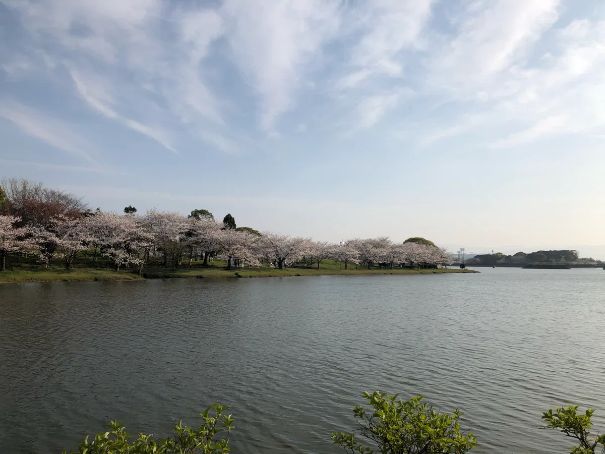 画像14
