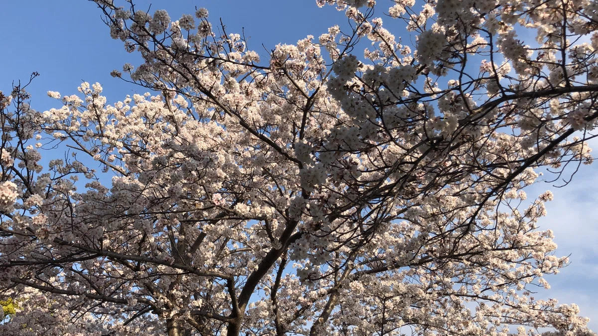 画像15