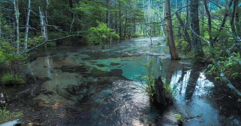 No.4 ボワ ドゥ バランクール｜バランクールの森 No.4 ボワ ドゥ バランクール｜バランクールの森 – NOSE SHOP